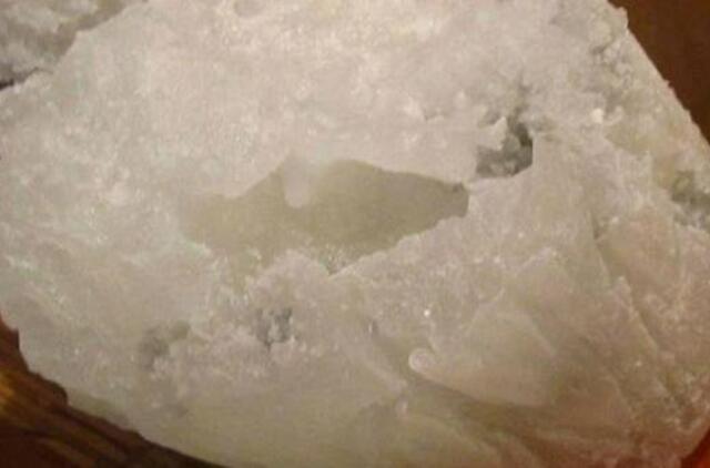 Rusijos mokslininkai polediniame Antarktidos ežere rado naujų gyvybės formų