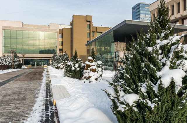 Šią savaitę laikysis žiemiški orai