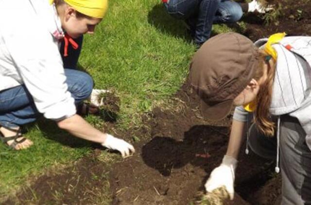 Klaipėdoje ieškomi savanoriai "Žaliai stotelei"