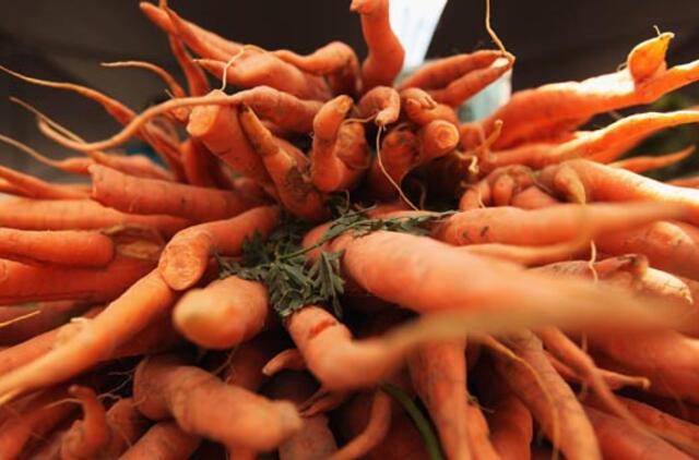 Libane užaugo gigantiška morka