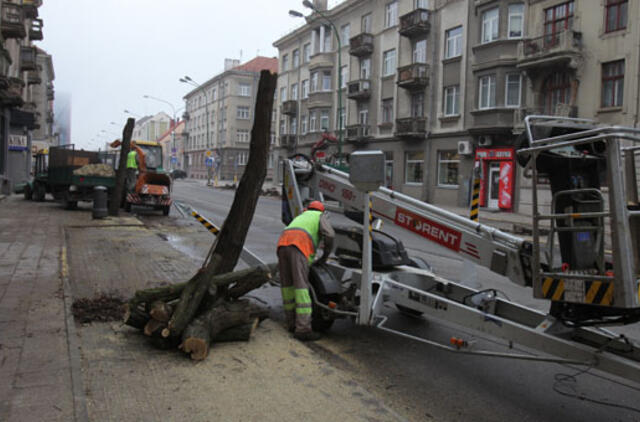 Liepų gatvėje toliau šalinami medžiai