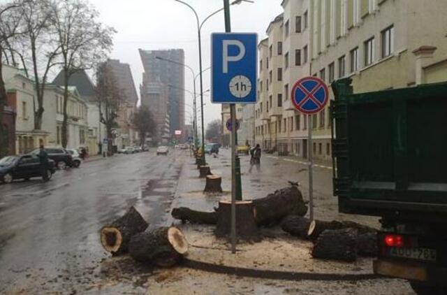 Liepų gatvėje vėl bus kertami medžiai