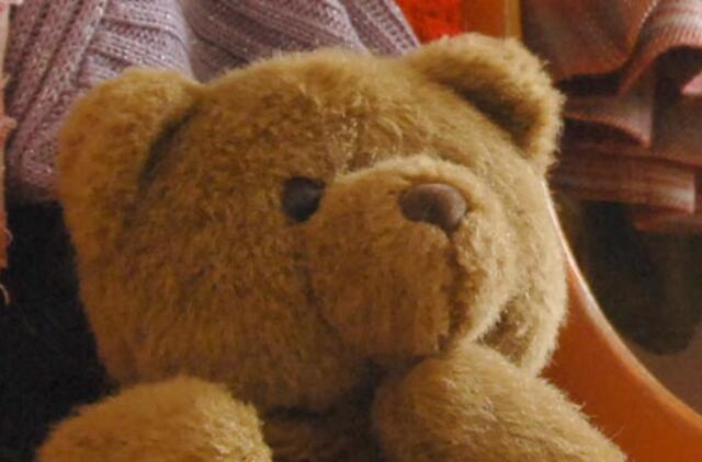 Pliušinių meškiukų istoriją perima švedų prokurorai