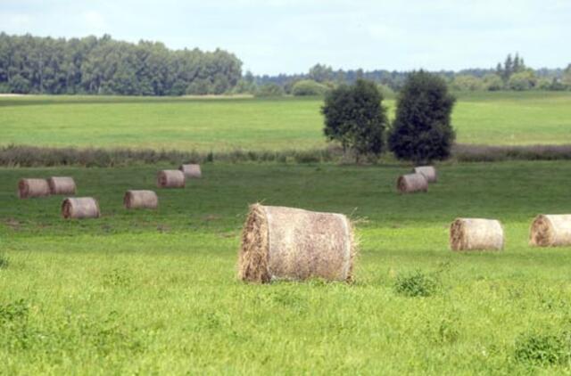 Siūloma pratęsti draudimą užsieniečiams įsigyti žemės ūkio paskirties žemę