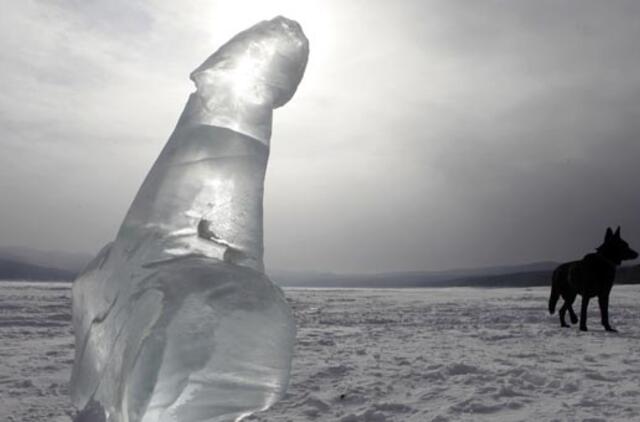 12 faktų apie vyro lyties organą