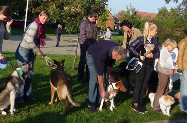 Neringoje bus surengta nemokama šunų paroda