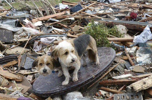 Oklahomą nusiaubusio tornado aukų paieškos artėja į pabaigą