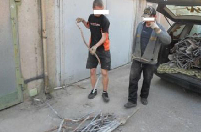 Skylė tvoroje sukėlė patrulių abejones