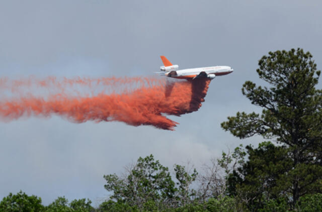 Dėl miškų gaisrų JAV tūkstančiai žmonių buvo priversti palikti savo namus