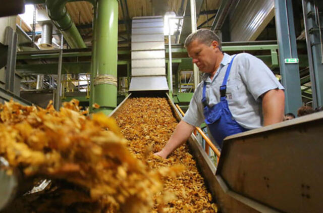 Klaipėdos gamykla - korporacijos pionierė