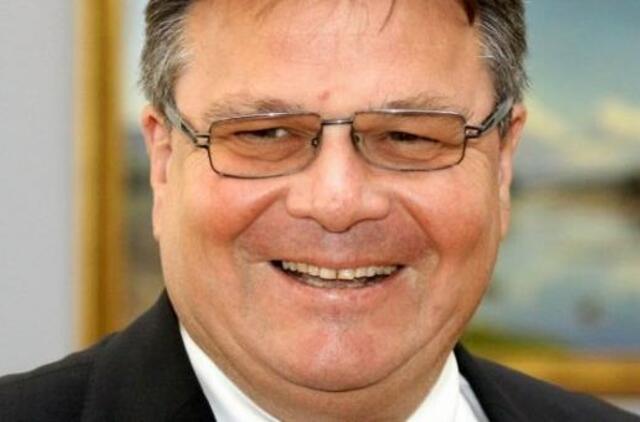 Linas Linkevičius: "Mums reikia nuoseklios Rytų partnerystės vizijos po 2013 metų"