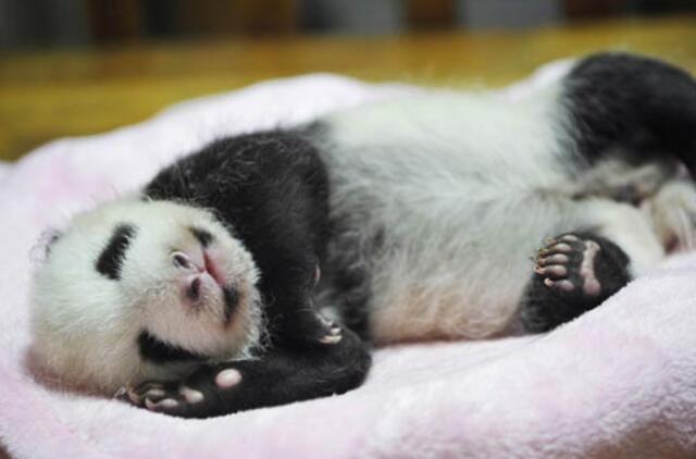 Norite geriau pailsėti? Miegokite atskirose lovose