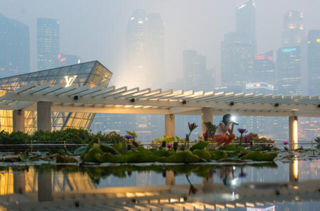Singapūre smogas pasiekė sveikatai pavojingą lygį