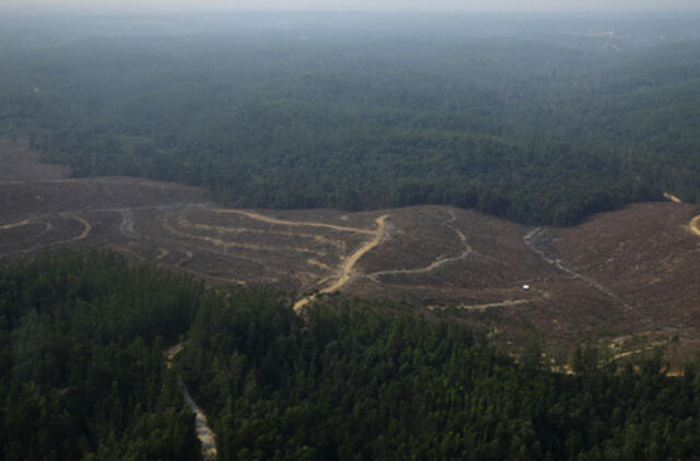 Indonezijos Sumatros salą supurtė 6,1 balo žemės drebėjimas