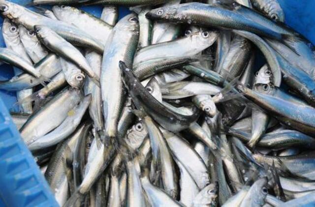 Žuvininkystės sektoriui numatyti 200 mln. litų