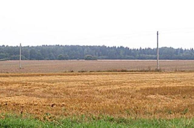 Ūkininkų nedžiugina nei derlius, nei kainos