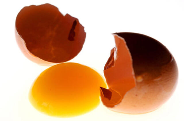 Antibiotikai kiaušiniuose - išimtis ar kasdienybė?