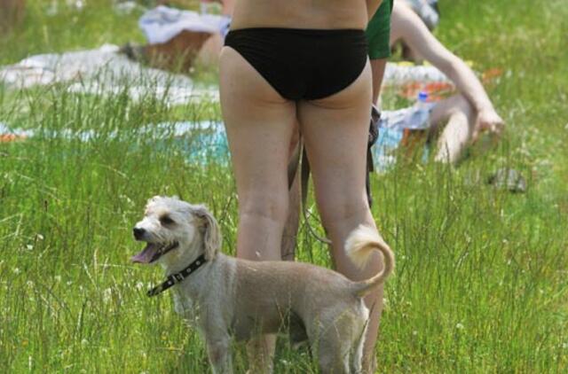 Kaip išvengti šilumos ir saulės smūgio