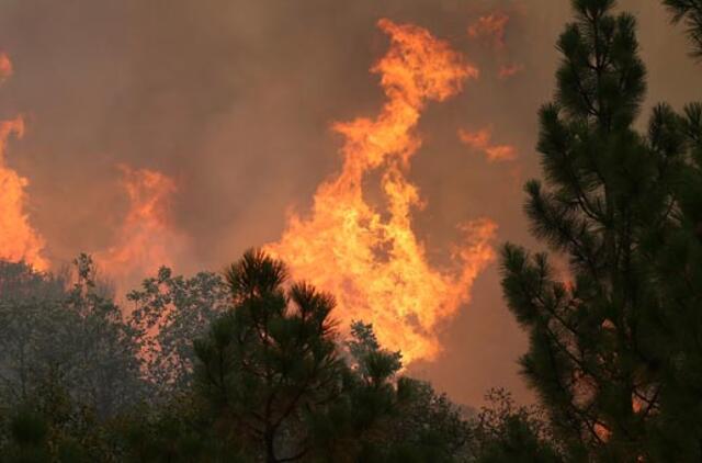 Kalifornija: gaisras siekia Josemičio nacionalinį parką