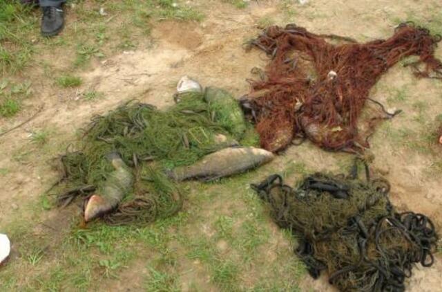 Kirtis brakonieriams: nei valties, nei uodegos