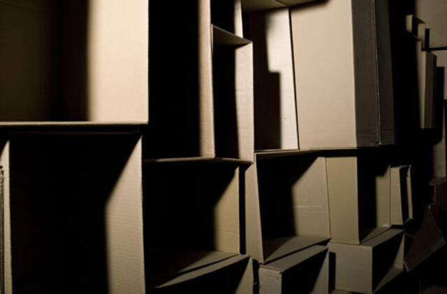 Lina Praudzinskaitė - "1m² erdvės"