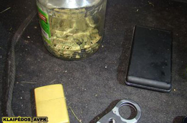 Sulaikyti kvaišalus Palangoje platinę jaunuoliai