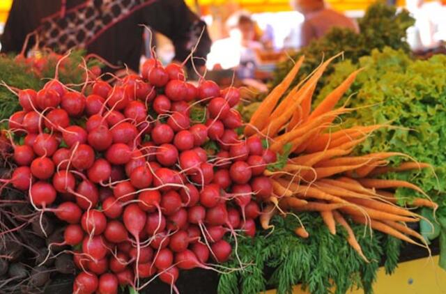 Patvirtinta magnio, vitamino A ir geležies nauda mažiems vaikams