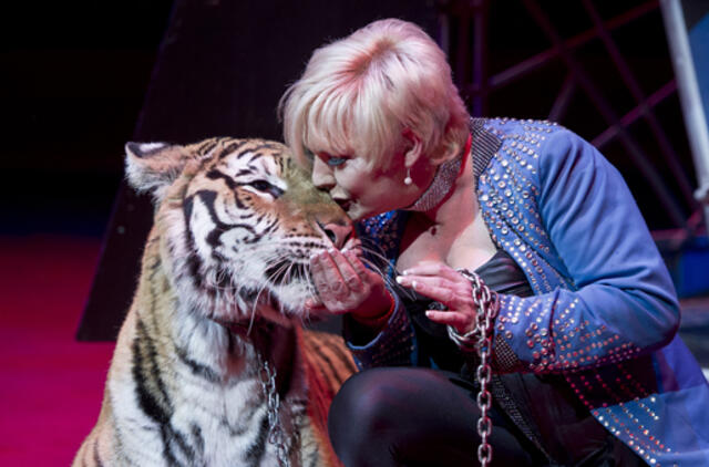 Salvadoro parlamentas uždraudė naudoti gyvūnus per cirko vaidinimus