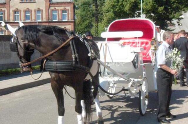 Šilutiškių vestuvės: nuo limuzinų iki įmantrių karietų