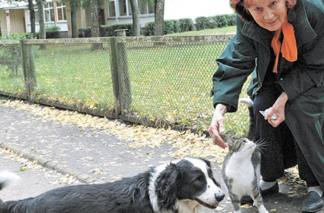 Gyvūnų gyvenimo istorijos įkvepia