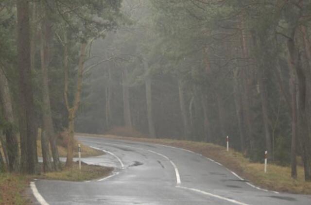 Pradedama kelio Smiltynė - Nida rekonstrukcija