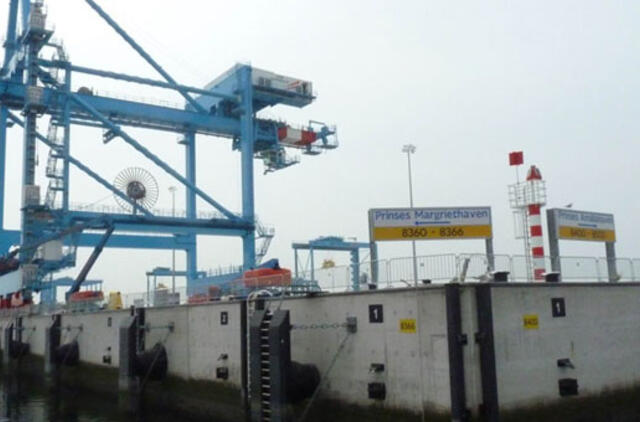 Statydami uostą olandai jaukinasi visuomenę