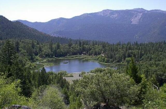 72 metų vyras 19 dienų klaidžiojo Kalifornijos miškuose
