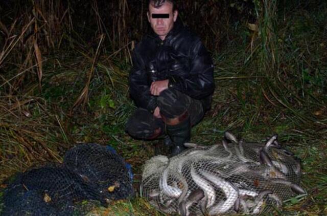 Nelegaliai sugauti unguriai brakonieriui kainuos 103 tūkst. litų