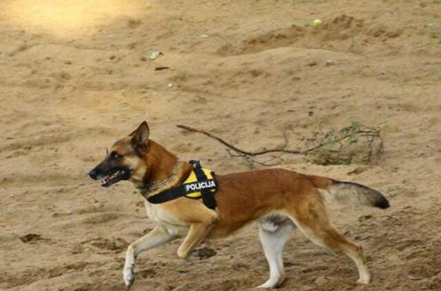 Pasiklydusias moteris ir jas radusius pareigūnus iš klastingos pelkės išvedė belgų aviganė