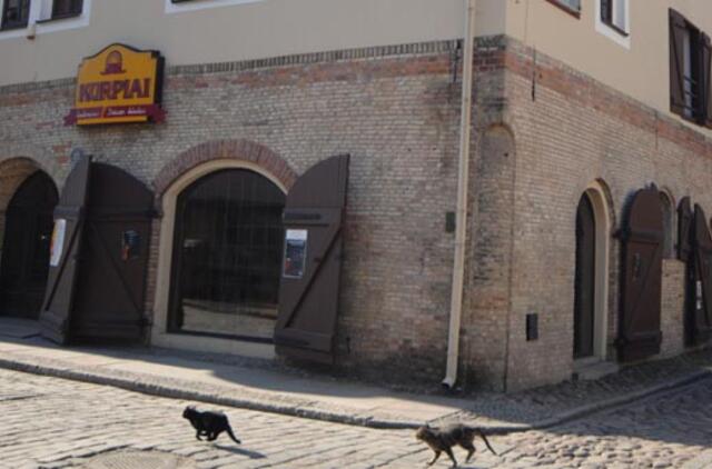 Po koncerto - porcija ašarinių dujų