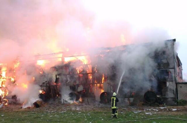 Vilkyčių kaime liepsnos surijo šieną