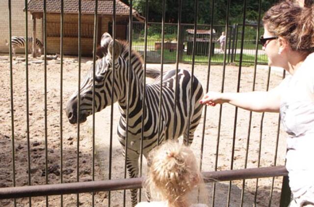 Zoologijos sodui žmonės surinko rekordinį kiekį gilių