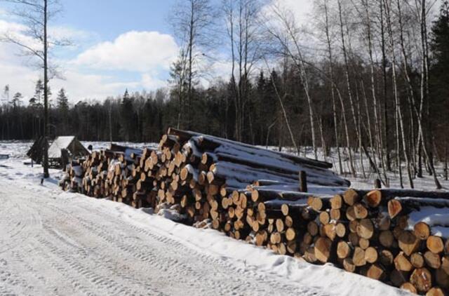 Už žemę miestuose atsiskaitys mišku?