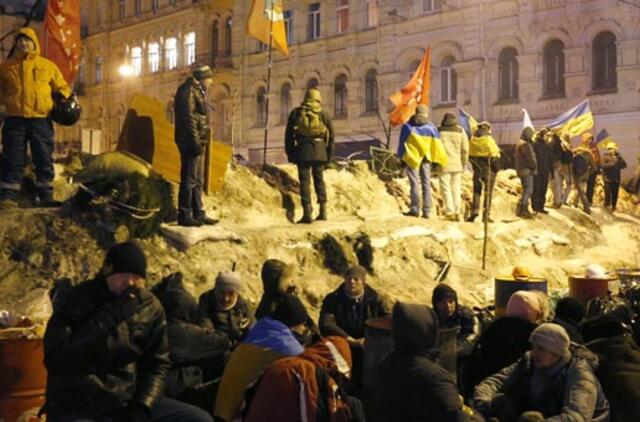 Viktoras Janukovyčius pasiūlė moratoriumą dėl jėgos naudojimo per demonstracijas