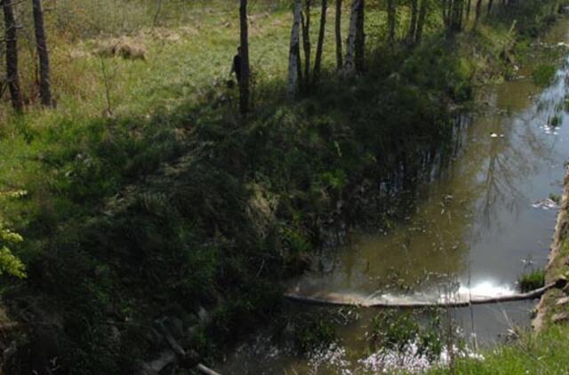 Palanga dumblo valymui pritrūko pinigų
