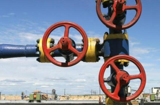 Kretingos raj. naftos telkinys - gausesnis, nei manyta