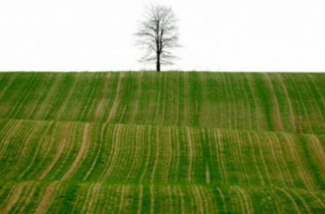 Lenkijoje skelbs referendumą dėl žemės