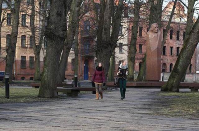 Rašytojo jubiliejų ženklins ir medžių kaita