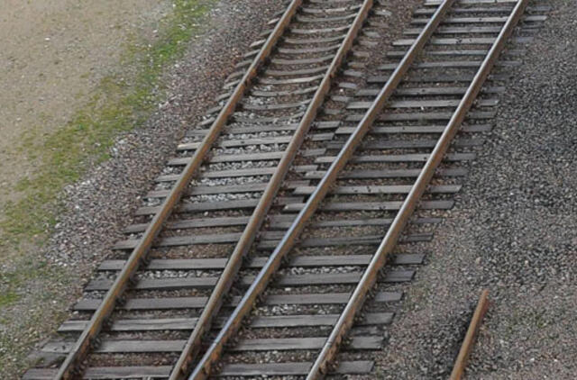 Baltijos šalys nesusitaria dėl Vilniaus prijungimo prie "Rail Baltica"