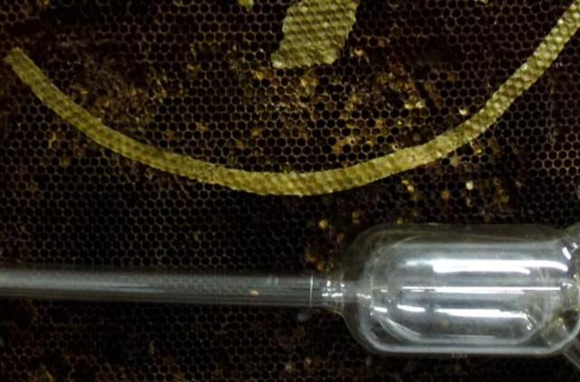 Galerijoje - "vidinės atminties archyvas"