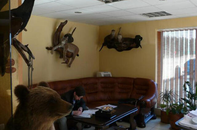 Iškamšų demonstravimas – taip pat pažeidimas