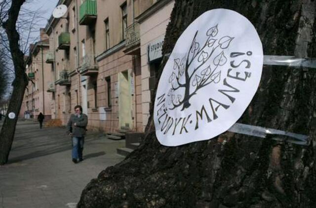 Miesto centre prašoma nežudyti medžių