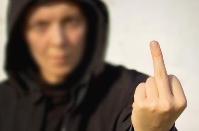 Pareigūnai sustabdė cinišką paauglių siautėjimą