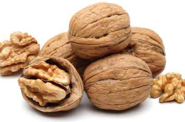 Per minutę galva perskėlė 155 riešutus